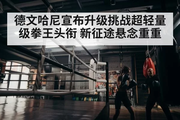 boxer training
