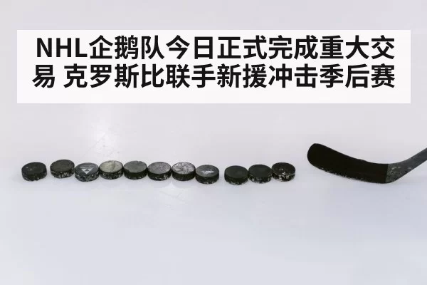 NHL企鹅队今日正式完成重大交易 克罗斯比联手新援冲击季后赛