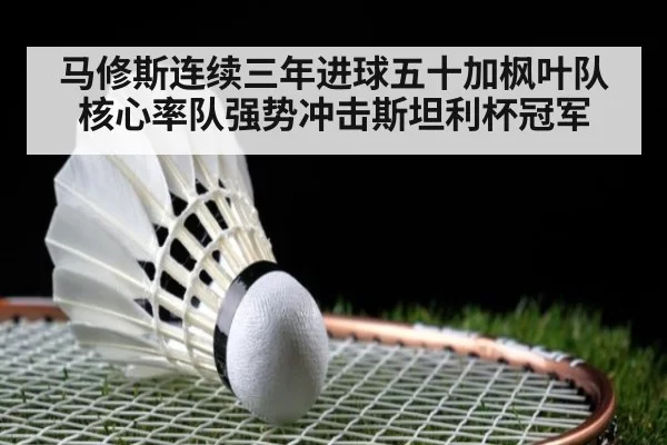马修斯连续三年进球五十加枫叶队核心率队强势冲击斯坦利杯冠军