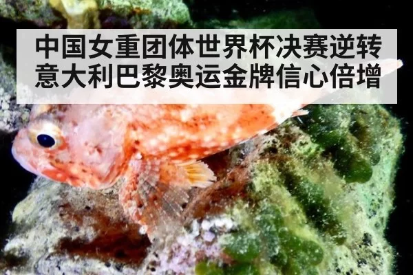 中国女重团体世界杯决赛逆转意大利巴黎奥运金牌信心倍增